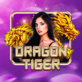 Dragon Tiger okplay apk