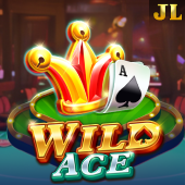 Wild Ace okplay apk